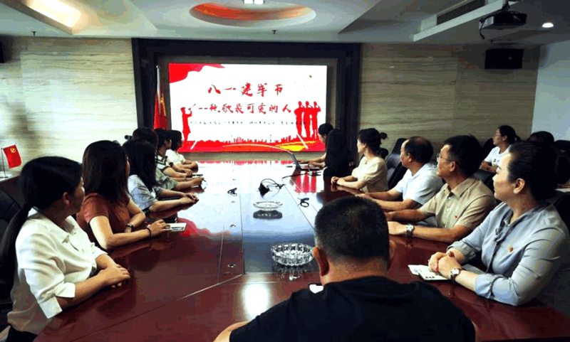 黨總支組織開展“崢嶸歲月，致敬最可愛的人”主題黨日活動(dòng)
